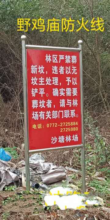 林场清明前夕在林区路口新竖立的严禁葬坟的告示牌审核:党委宣传部 杨